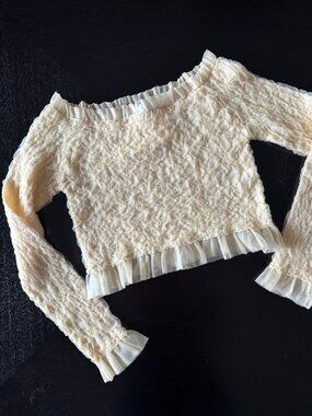 ZARA Crinkle Long Sleeve Crop Top – Boat Neck – Semi‑Sheer – NWT – Size S